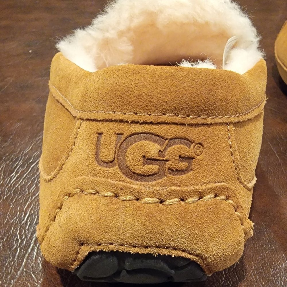 Men's UGG Ascot Slippers